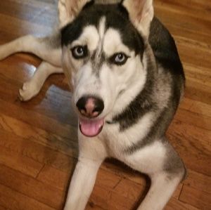 Meet your Posher, Annette